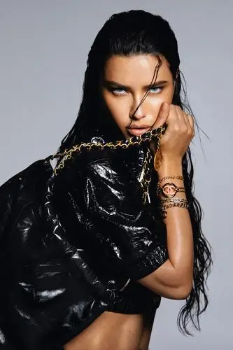 Adriana Lima Wall Poster picture 1043181