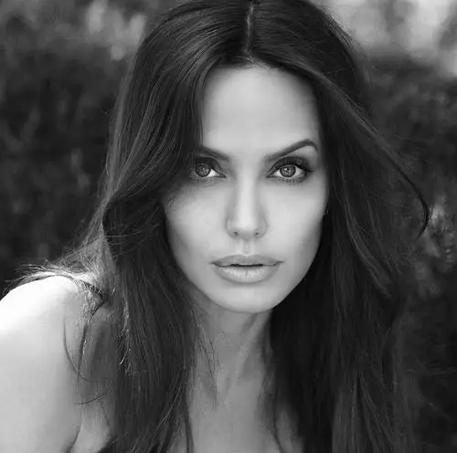 Angelina Jolie Fridge Magnet picture 1016898