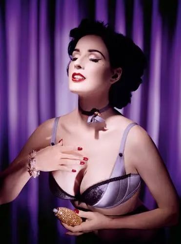 Dita Von Teese Wall Poster picture 609890