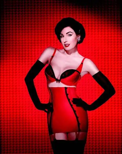 Dita Von Teese Wall Poster picture 609896