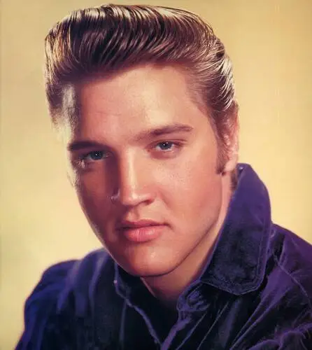 Elvis Presley Fridge Magnet picture 352024