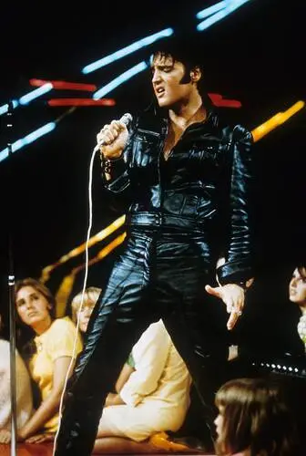 Elvis Presley Wall Poster picture 352140
