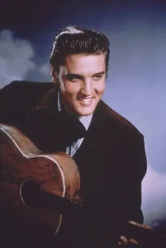 Elvis Presley Wall Poster picture 352144