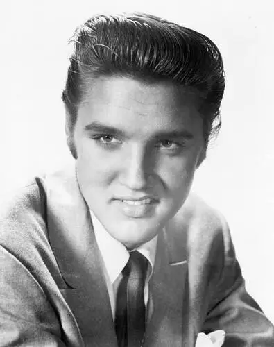 Elvis Presley Wall Poster picture 352168