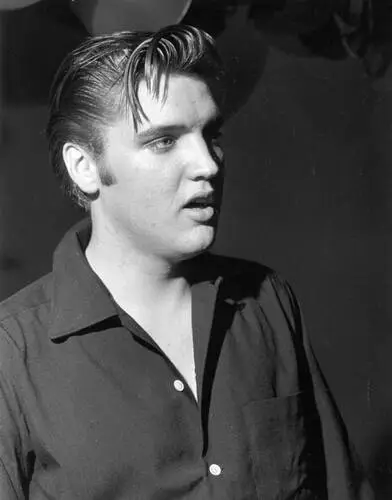Elvis Presley Wall Poster picture 352169