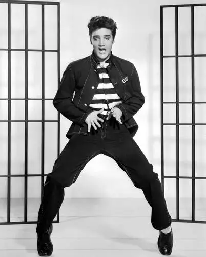 Elvis Presley Wall Poster picture 75603