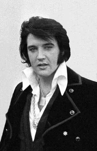 Elvis Presley Fridge Magnet picture 75607