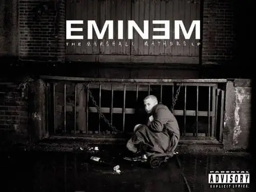 Eminem Fridge Magnet picture 304947