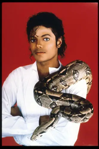 Michael Jackson White T-Shirt - idPoster.com