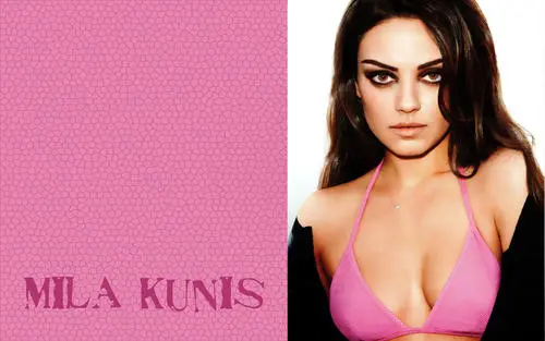 Mila Kunis Wall Poster picture 785532