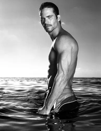 Paul Walker Wall Poster picture 16958