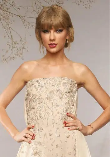 Taylor Swift Jigsaw Puzzle picture 1070377