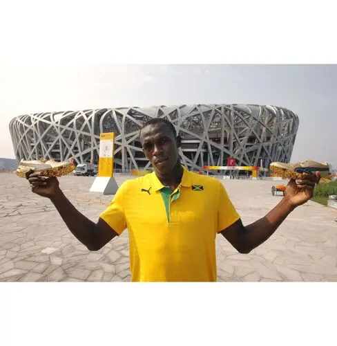 Usain Bolt Jigsaw Puzzle picture 166157