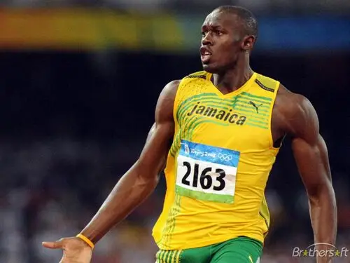 Usain Bolt Fridge Magnet picture 166284