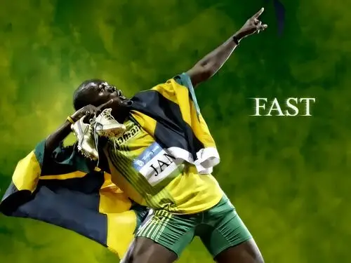 Usain Bolt Fridge Magnet picture 166304